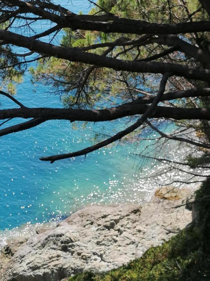 Ca Gianca Appartement Riccò del Golfo di Spezia Buitenkant foto